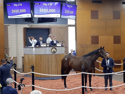 Bernardini Filly Leads F-T Midlantic Sale Opener Image 1