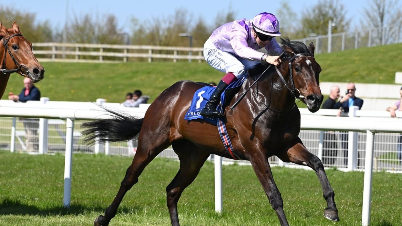 Joseph O'Brien Sends Cowardofthecounty To Coventry Image 2