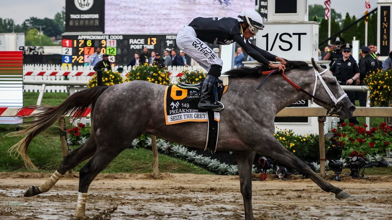 Lukas Confirms Seize The Grey For Belmont Stakes Image 2