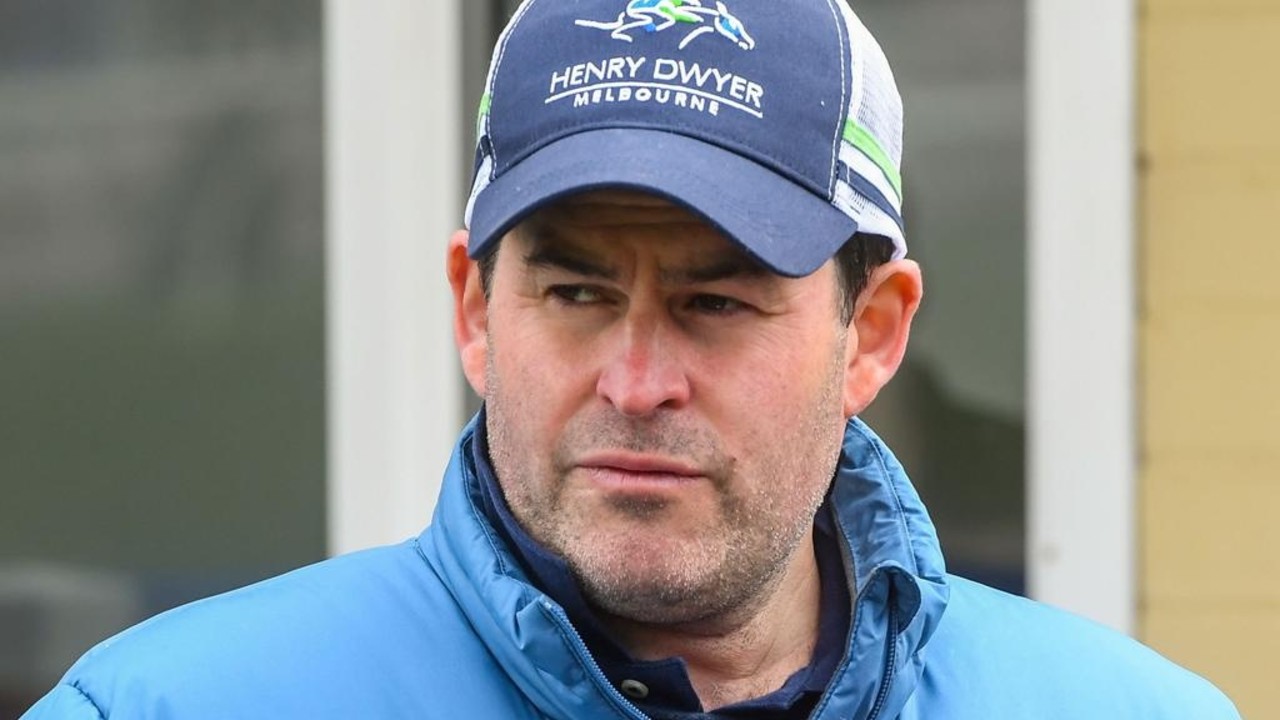 Dwyer Mare Ready For UK Campaign Image 1