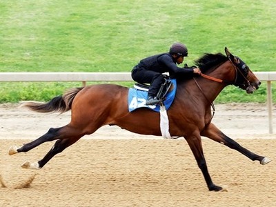 Sales Notebook: Maclean's Music Colt Headed to Saudi Arabia Image 1