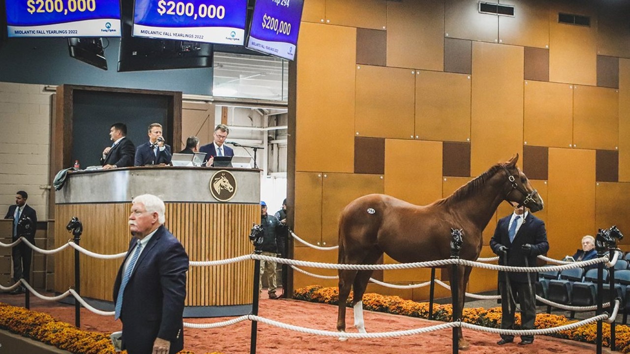 Fasig-Tipton Midlantic Sale Sees Soaring Business Image 1