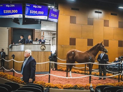 Fasig-Tipton Midlantic Sale Sees Soaring Business Image 1