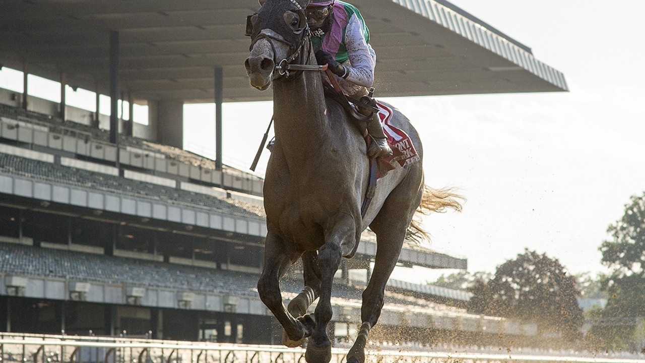 Batten Down Gears Up for Belmont Stakes Challenge Image 1