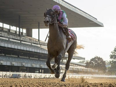 Batten Down Gears Up for Belmont Stakes Challenge Image 1