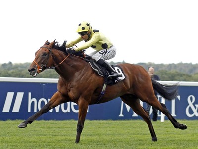 Rosallion, Second in Newmarket, Favoured for Irish 2,000 ... Image 1