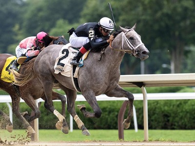 Seize the Grey: From Humble Beginnings to Preakness Glory Image 1