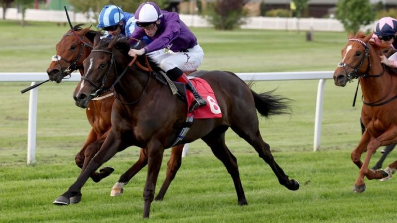 Enchanting Performance Prepares Enchanted Empress For Royal ... Image 1