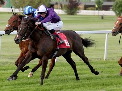 Enchanting Performance Prepares Enchanted Empress For Royal ... Image 1