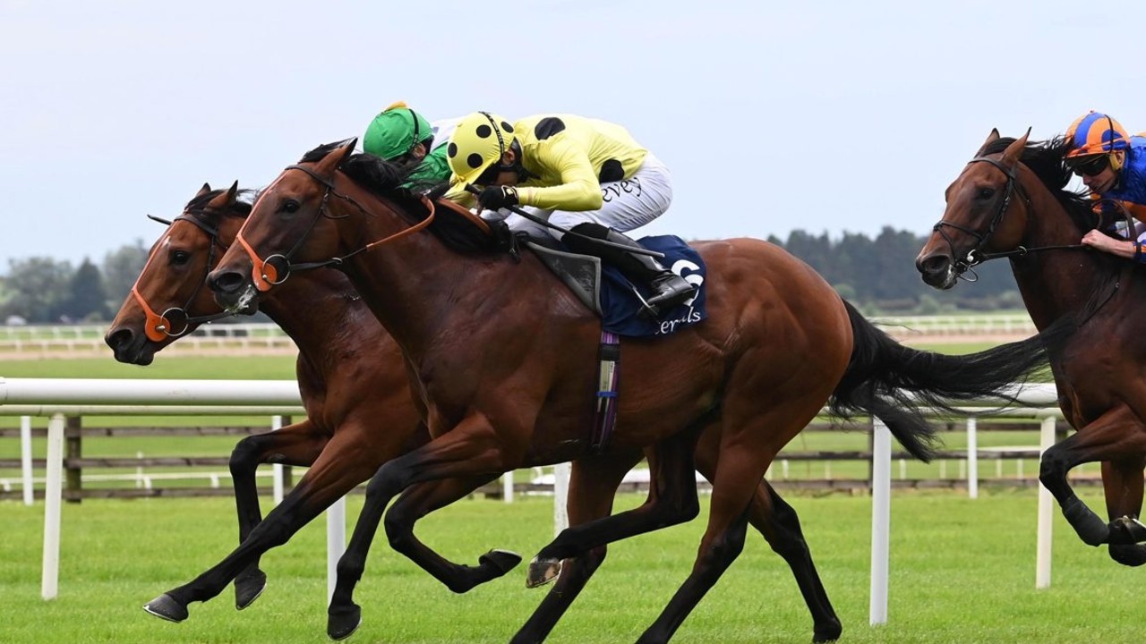 Thrilling Victory For Rosallion In The Irish Two Thousand ... Image 1