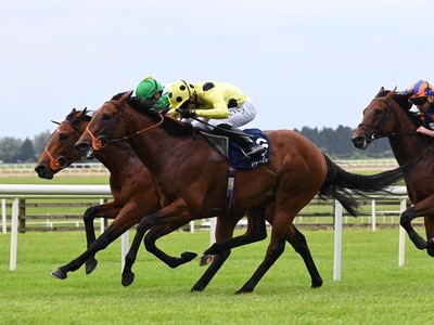 Thrilling Victory For Rosallion In The Irish Two Thousand ... Image 1