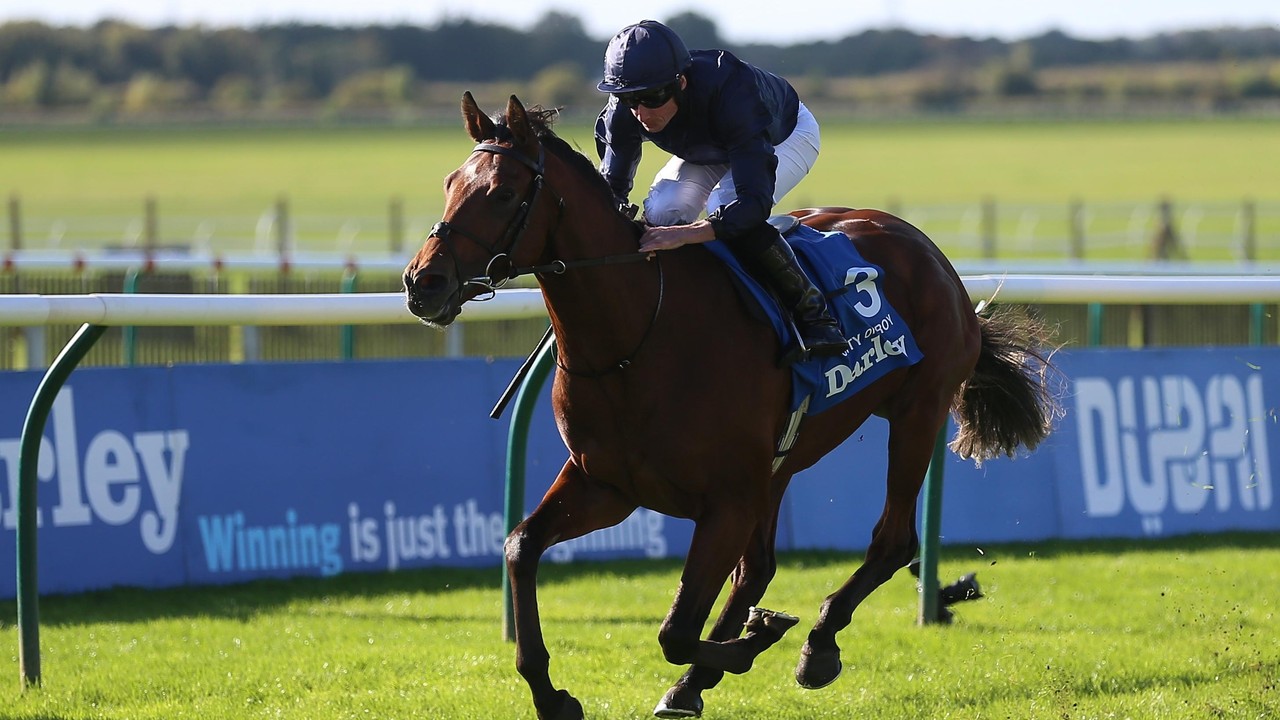 City Of Troy And Ylang Ylang Ready For Epsom Derby Classic Image 2