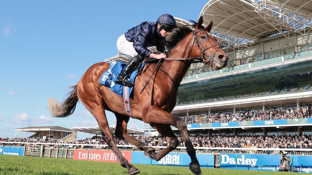 City Of Troy And Ylang Ylang Ready For Epsom Derby Classic Image 1