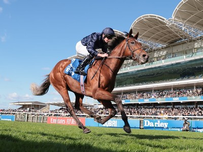 City Of Troy And Ylang Ylang Ready For Epsom Derby Classic Image 1