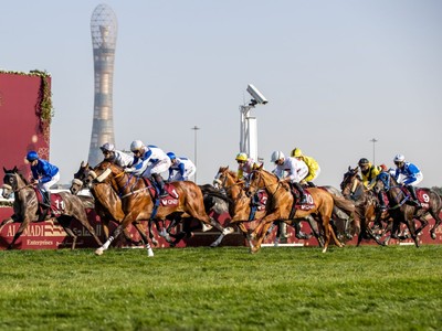 Record-breaking Season: 7881 Runners At Al Rayyan &amp; Al Uqda ... Image 1