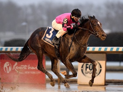 The Wine Steward Being Considered For Belmont Stakes And ... Image 1