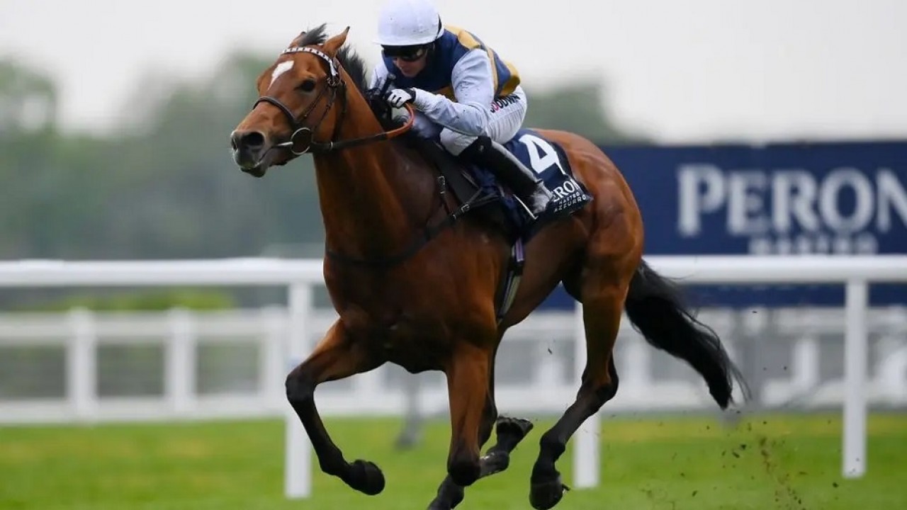 Royal Ascot Awaits: Kerdos, Regional, And Docklands Image 3