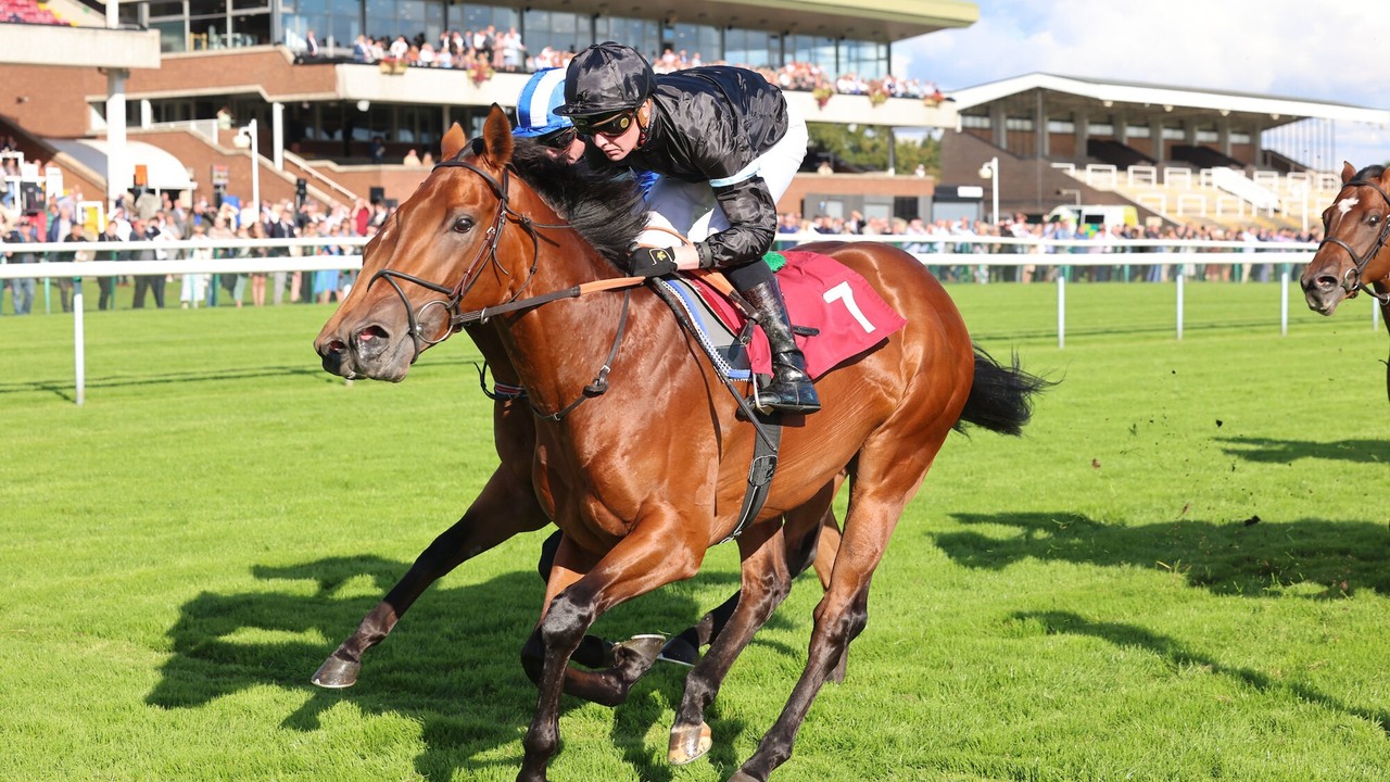 Royal Ascot Awaits: Kerdos, Regional, And Docklands Image 1