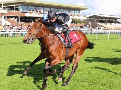 Royal Ascot Awaits: Kerdos, Regional, And Docklands Image 1