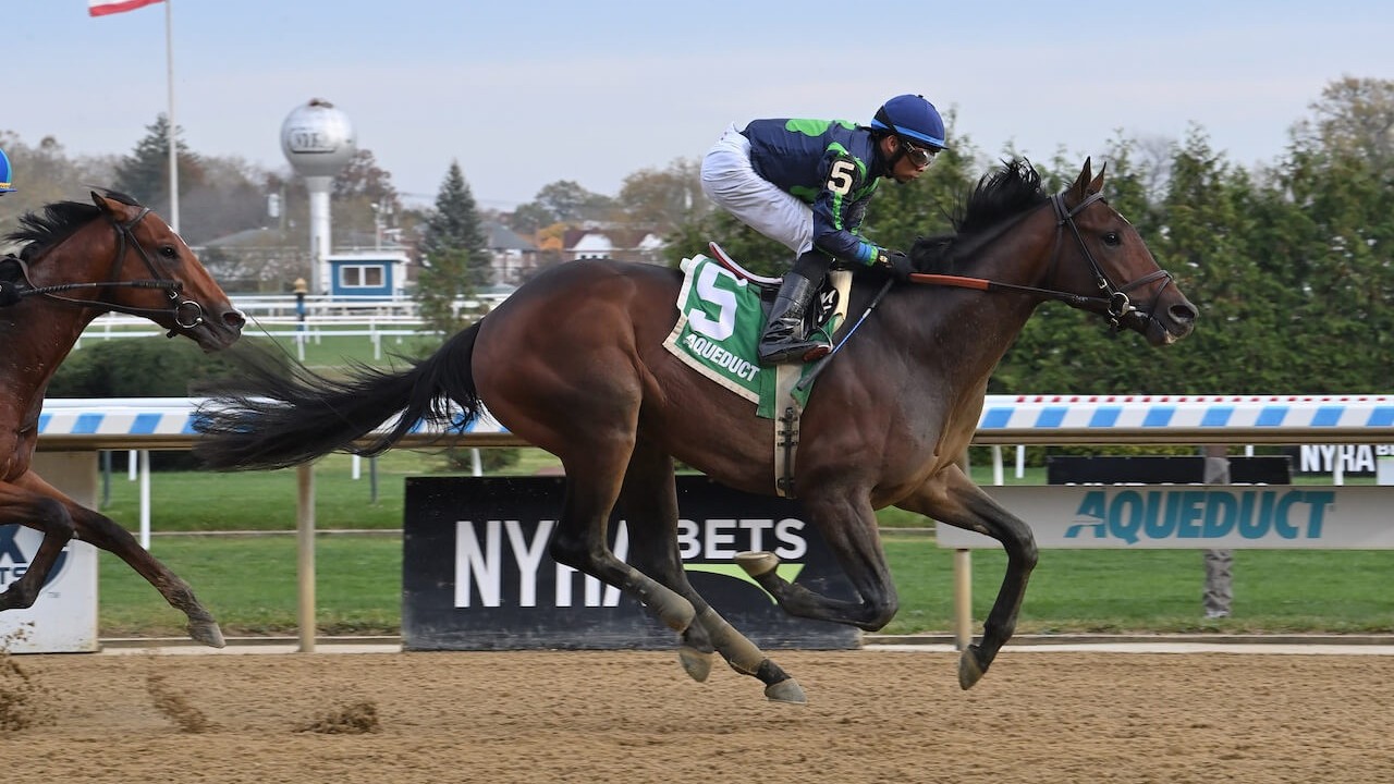 Tuscan Gold Aims To Join Sierra Leone In Belmont Stakes Image 2