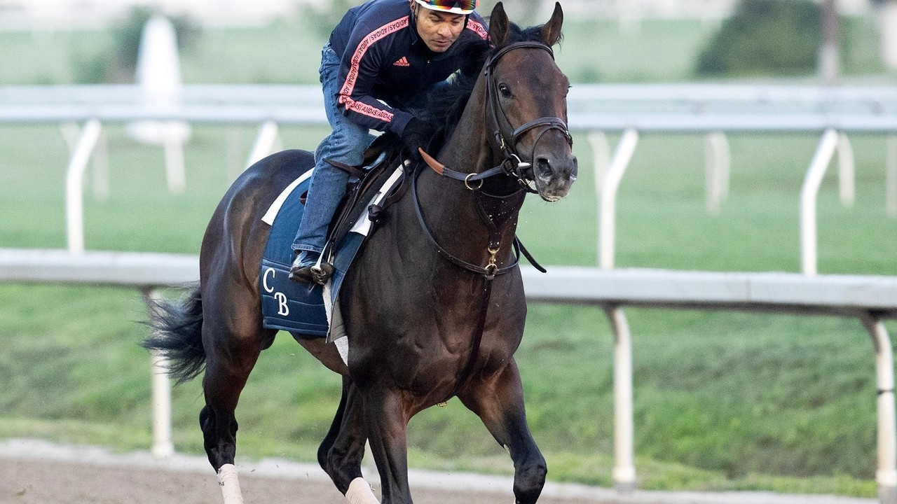 Tuscan Gold Aims To Join Sierra Leone In Belmont Stakes Image 1