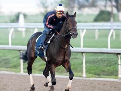 Tuscan Gold Aims To Join Sierra Leone In Belmont Stakes Image 1