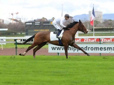 Facteur Cheval, Winner Of Dubai Turf, Set To Compete At ... Image 1