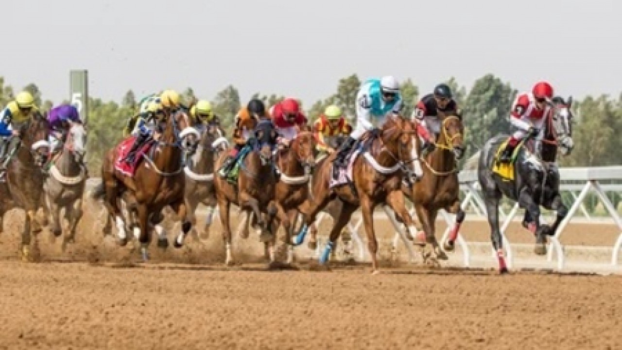 Ta'if to Host First-Ever Group Race As King Faisal Cup ... Image 1