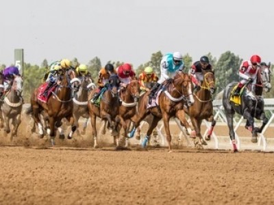 Ta'if to Host First-Ever Group Race As King Faisal Cup ... Image 1