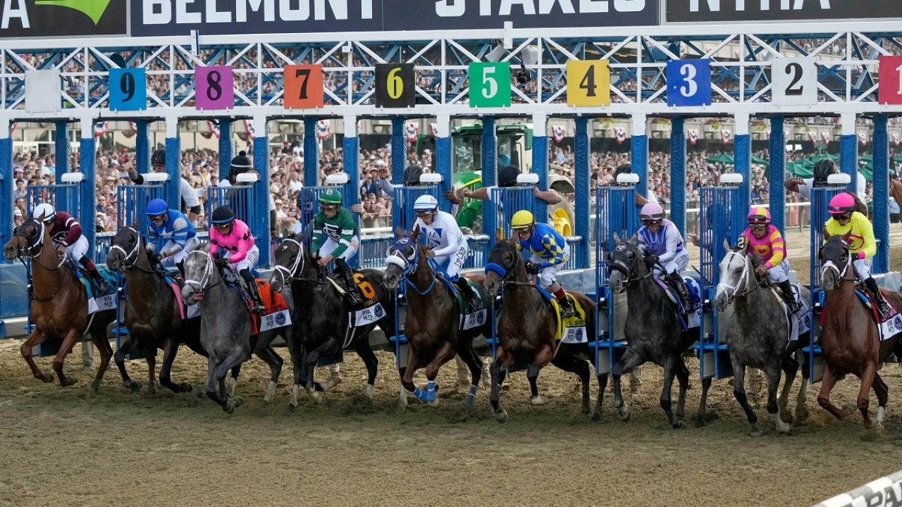 Belmont Stakes Contenders Gear Up for Race Day Image 1