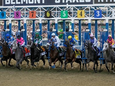 Belmont Stakes Contenders Gear Up for Race Day Image 1