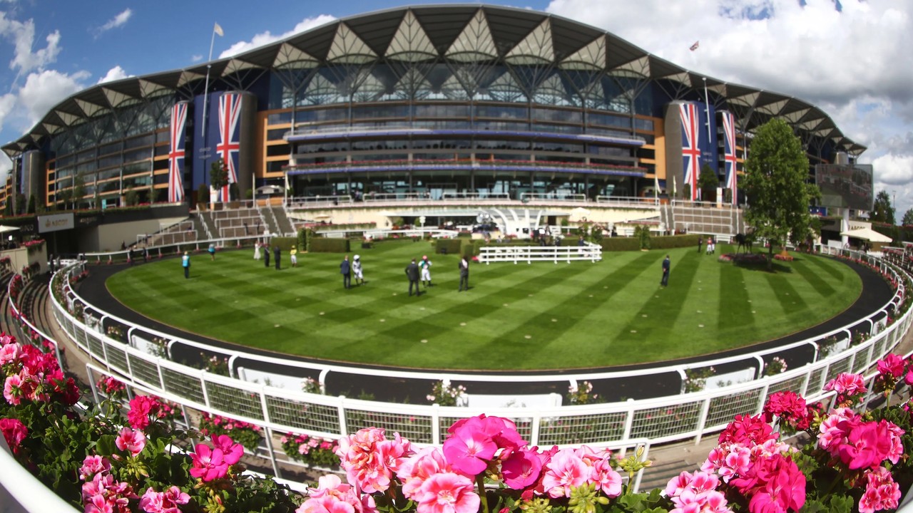 Royal Ascot Preparations in Full Swing Image 1