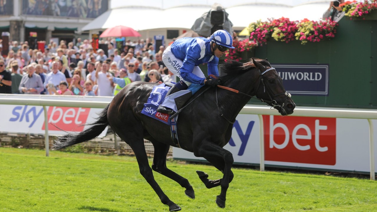 Ascot Agenda: Alflaila's Road to Recovery Image 1