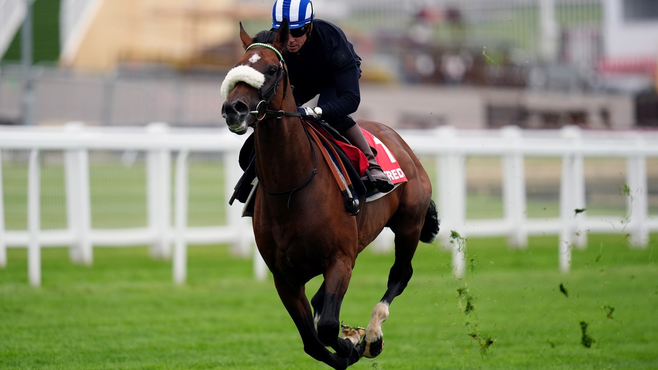 Deira Mile's Next Stop: The DDF Irish Derby Following Epsom ... Image 1