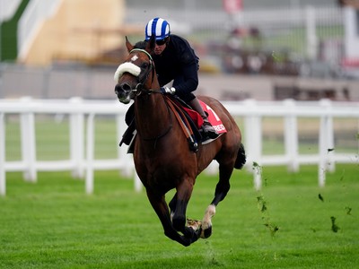 Deira Mile's Next Stop: The DDF Irish Derby Following Epsom ... Image 1