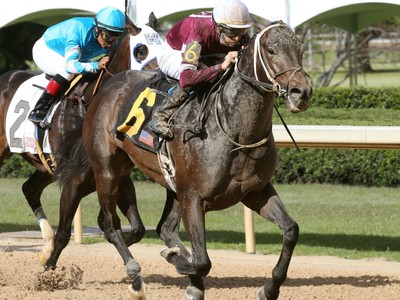 Smart Strike's Legacy Shines at Belmont Stakes Festival Image 1