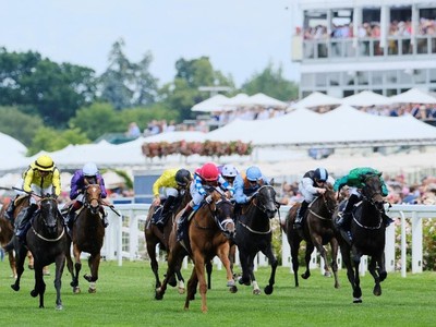 A Star-Studded Lineup: International Runners and Homegrown ... Image 1