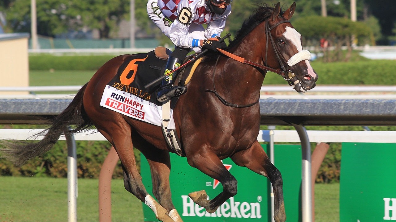 Fillies Shine at OBS Under Tack Show: Tiz the Law Progeny ... Image 1