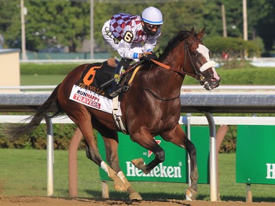 Fillies Shine at OBS Under Tack Show: Tiz the Law Progeny ... Image 1