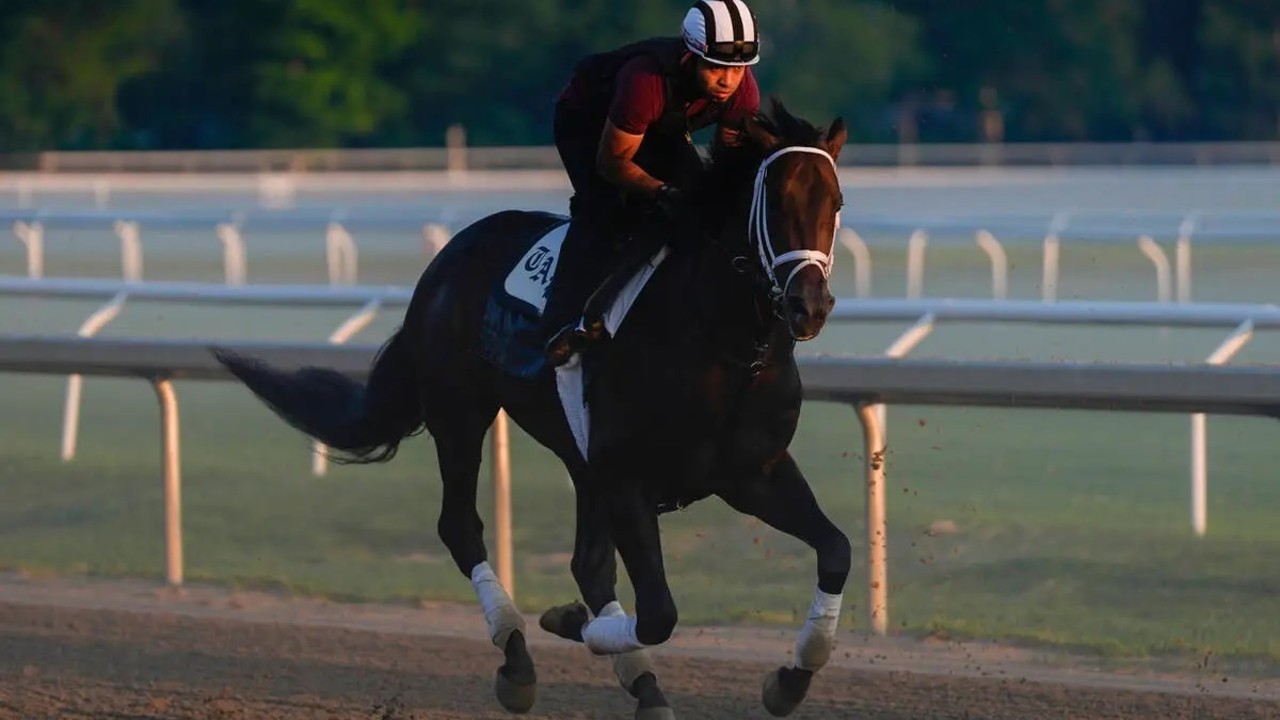 Untested Mindframe Steps Up for Belmont Stakes Image 2