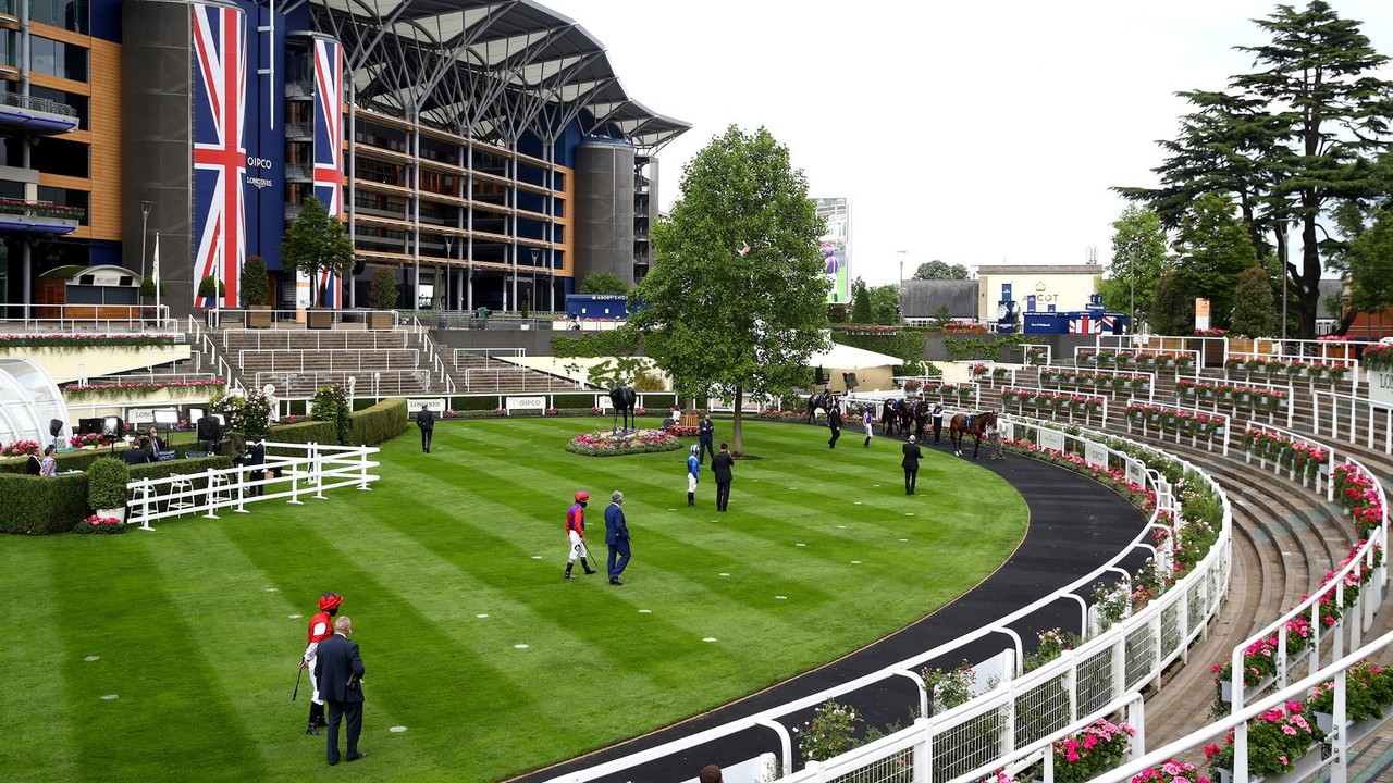 Royal Ascot Preparations: Excitement Builds for Promising ... Image 1