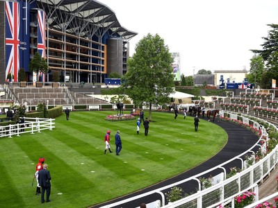 Royal Ascot Preparations: Excitement Builds for Promising ... Image 1