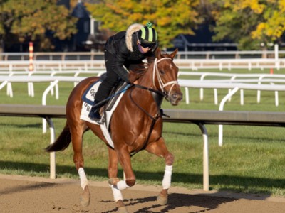 Wathnan Racing's Crimson Advocate Joins Gosden Team Image 1