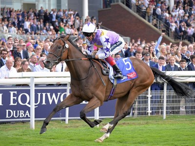 Royal Ascot :Thrilling Competition Looms as Seasoned ... Image 1