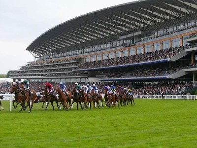 Top Trainers and Jockeys Gear Up for Royal Ascot Showdown Image 1