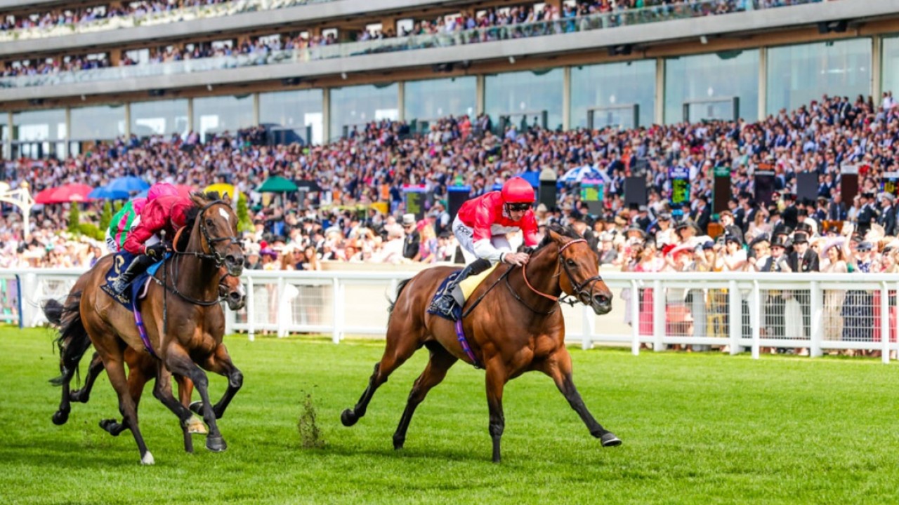 Royal Ascot Week Packed with Top-Class Local and ... Image 1