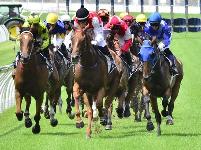 Top Sprinters Set to Clash in Stradbroke Handicap Ahead of ... Image 1