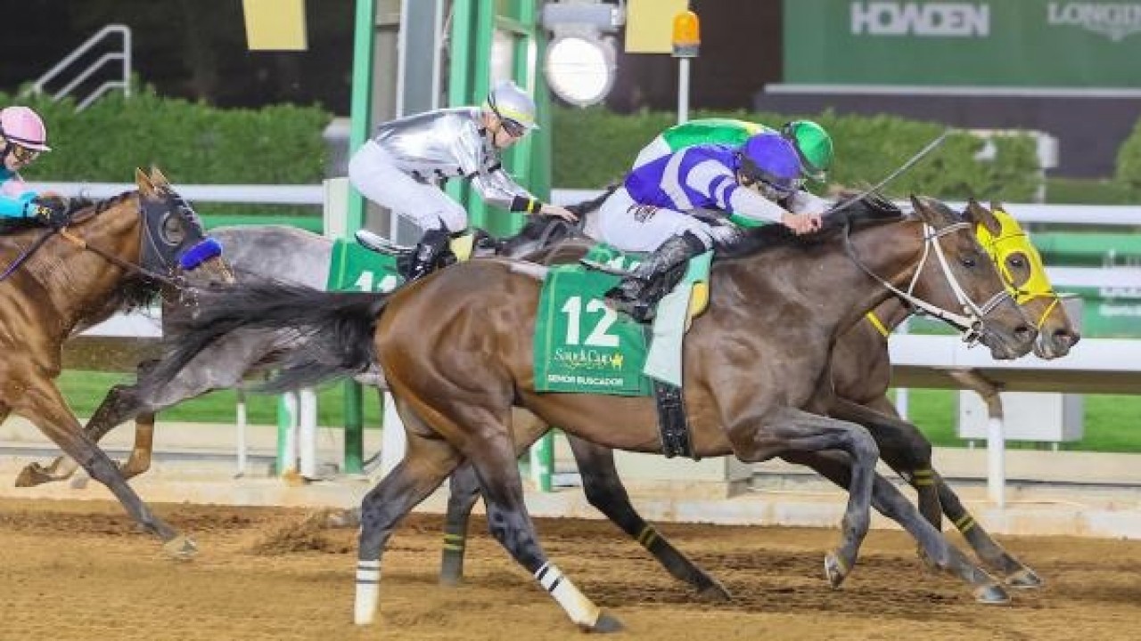 Senor Buscador Eyes Breeders' Cup Classic After Successful ... Image 1