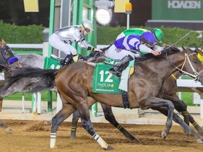 Senor Buscador Eyes Breeders' Cup Classic After Successful ... Image 1