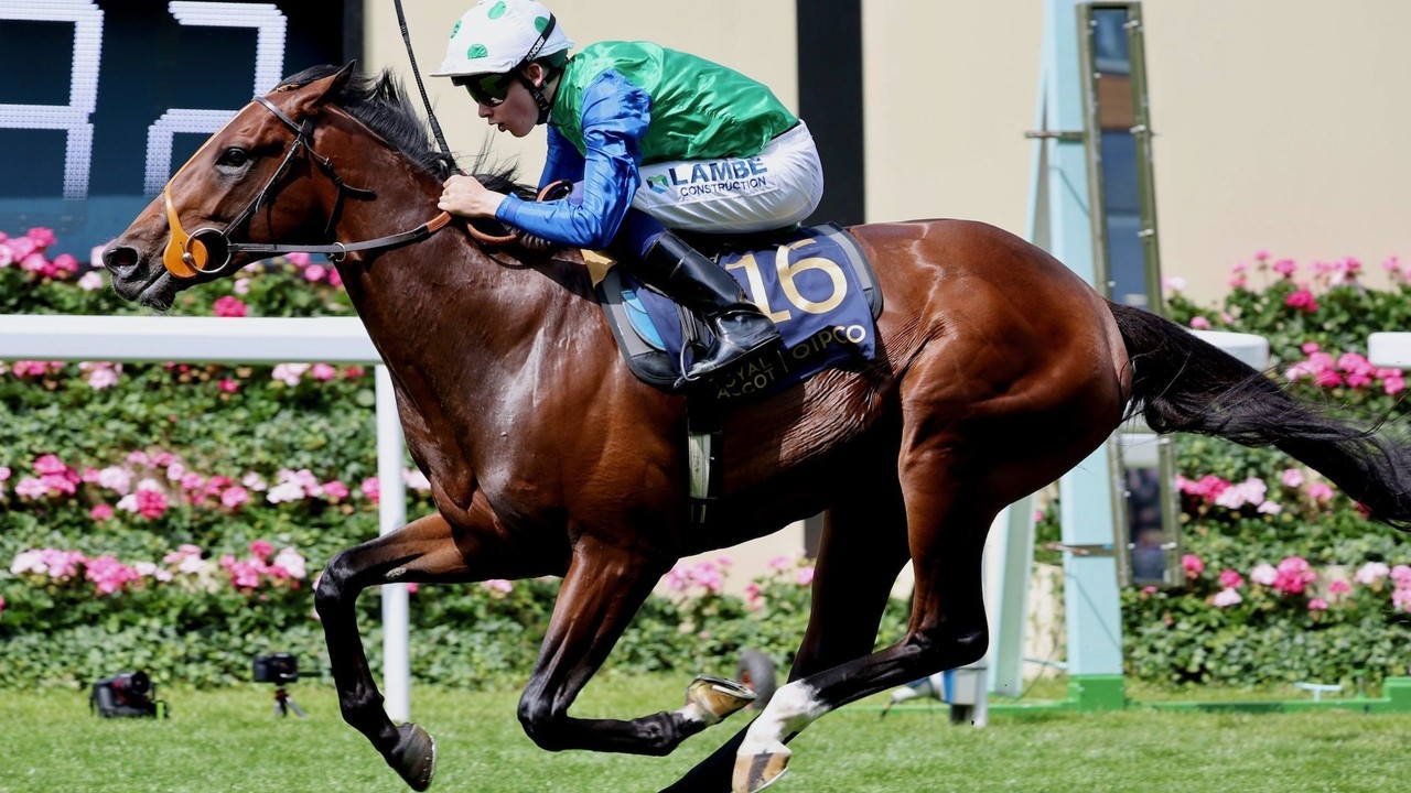 Rashabar Returns Sangster Silks to Royal Ascot Glory in ... Image 1